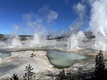 Norris Geyser Basin